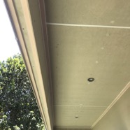 IMG_6268.jpeg