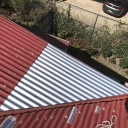 IMG_0524.jpeg