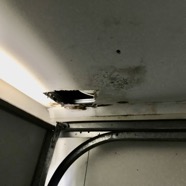 IMG_1323.jpeg