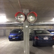 IMG_3220.jpeg